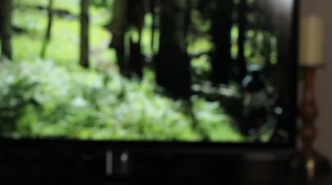 Cutting the Cable - Television Vídeos de archivo 46323734