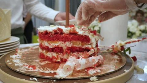 Cutting a cake at a wedding celebration Stock Footage 158994380
