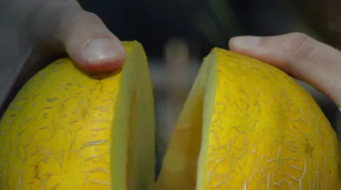 Cutting cantaloupe Stock Footage 27530671
