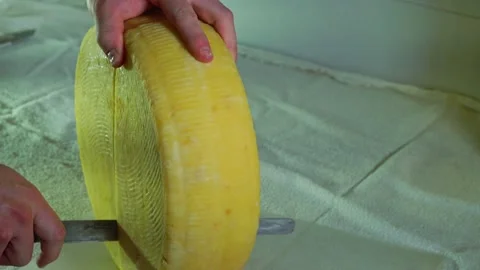 Cutting a cheese circle by a master of ecologically clean cheese prepared with n Stock Footage 227291780