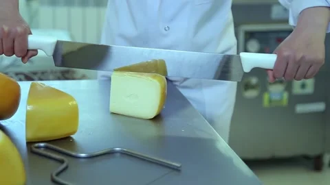 Cutting cheese Stock Footage 135895012