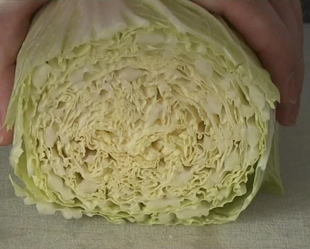 Cutting Chinese cabbage Vídeo Stock 62453