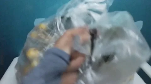 Cutting a Clear Plastic Bag Containing One Kilogram of Kepundung Fruit Stock Footage 229256347