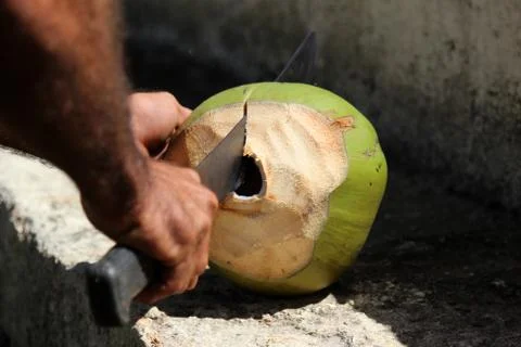 Cutting coconut 스톡 사진