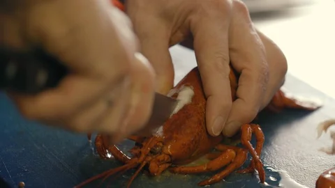 Cutting a cooked lobster in half with a sharp knive by a professional chef Stock Footage 128576617