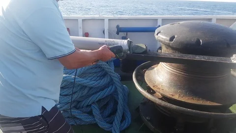 Cutting the Cores Stockbeeldmateriaal 124528921