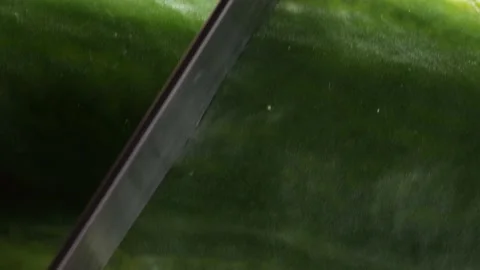 Cutting Cucumber Stock Footage 147189929