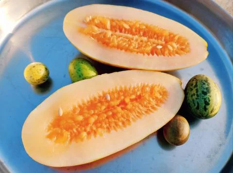 Cutting cucumber fruit, Cucumber inside 库存照片