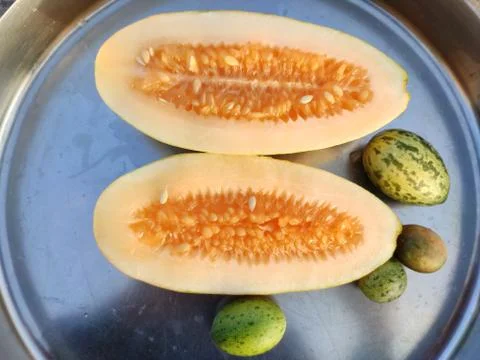 Cutting cucumber fruit, Cucumber inside 3 Stock Photos