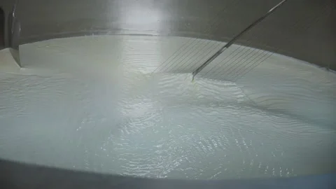 Cutting the curds in dairy workshop - slow motion, close up 스톡 동영상 155260953