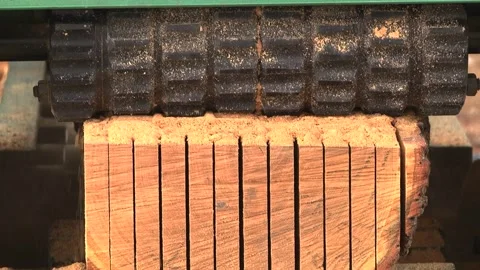 Cutting a cut tree trunk into boards Stock Footage 146864832