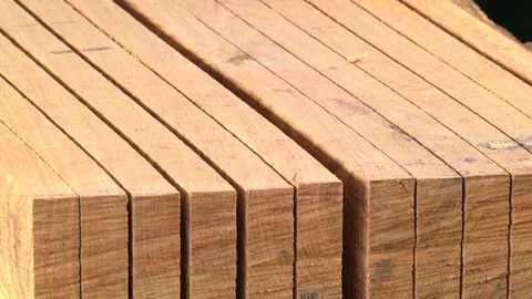 Cutting a cut tree trunk into boards Stock Footage 146864833