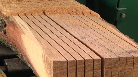Cutting a cut tree trunk into boards Stock-Footage 146864837