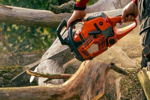 Cutting off a dead branch while holding a chainsaw Stock Photos