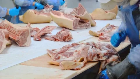 Cutting deboning meat on a conveyor 스톡 동영상 200876631