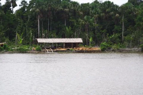 Cutting Down the Rain Forest Stock Photos