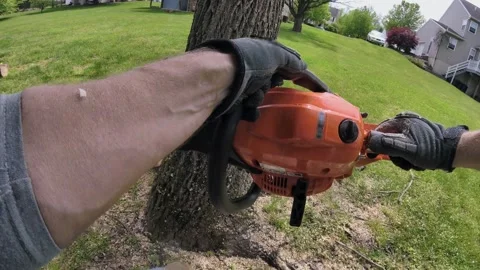 Cutting Down A Tree - GoPro View Stock Footage 133945393