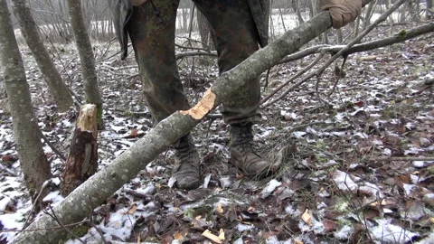 Cutting Down Trees With An Axe Stock Footage 239721241