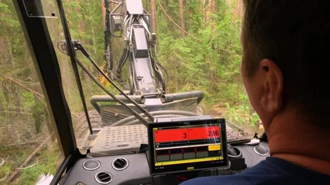 Cutting down trees in the forest. View from the driver's cabin. Deforestatio Stockbeeldmateriaal 278911387