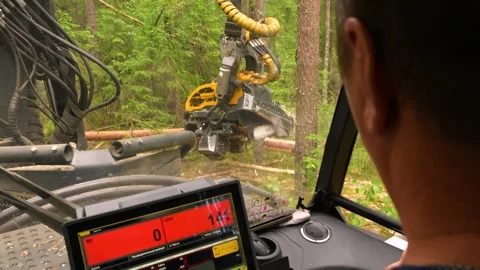 Cutting down trees in the forest. View from the driver's cabin. Deforestatio Stockbeeldmateriaal 278918204