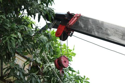 Cutting down trees for safety at work by using cranes to work at heights Stock Photos
