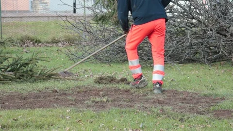 Cutting down trees work 動画素材 99964751