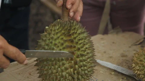 Cutting durian with knives Stock-Footage 65004077
