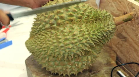 Cutting durian with knives Stock Footage 67568666