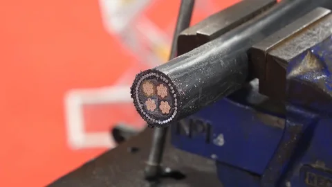 Cutting electrical cable Vídeos de archivo 88015886