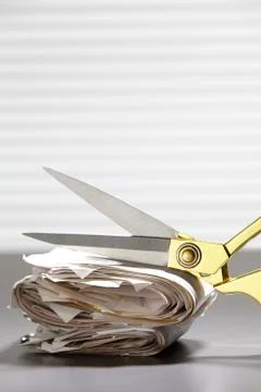 Cutting expense 스톡 사진