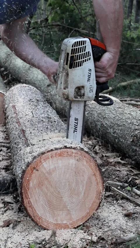 Cutting Firewood with a Chainsaw Stock Footage 274710930