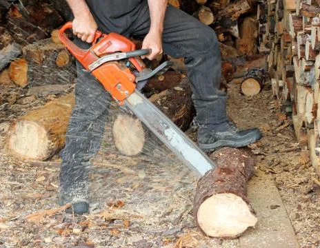 Cutting firewood Stock Photos