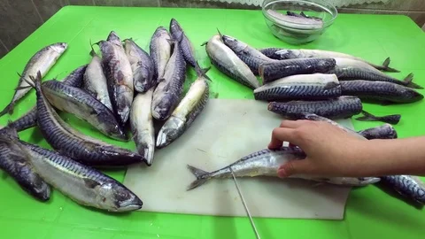 Cutting fish. Cuts the tail of a fish. A lot of frozen fish. Healthy eating. Stock Footage 83964170