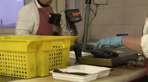 Cutting fish. Fish processing plant Stock Footage 24951644