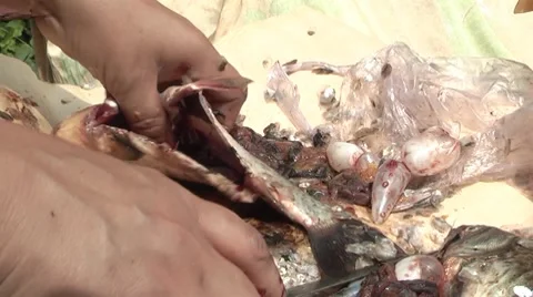 Cutting fish 動画素材 7755119