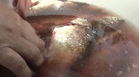 Cutting fish 動画素材 7755126