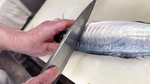 Cutting off the Fish Head with a Knife (Horse Mackerel), Fish Guide Part 4 of 12 Stock Footage 339918909