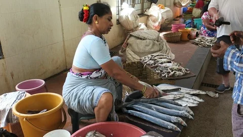 Cutting fish in the market in Mapus, Goa Stock Footage 88997630
