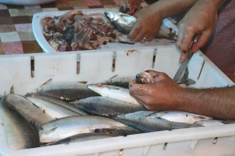 Cutting fish Stockfoto's