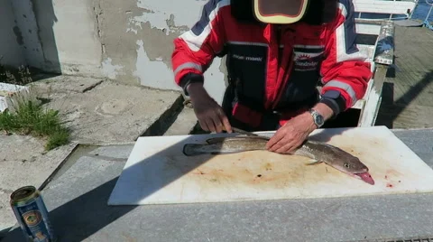 Cutting fish in pieces. preparing a meal. 스톡 동영상 66359393