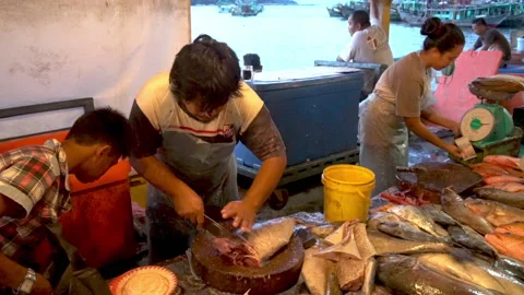 Cutting fish for sell in the market in Sabah Malaysia 2015 Stock Footage 153442753
