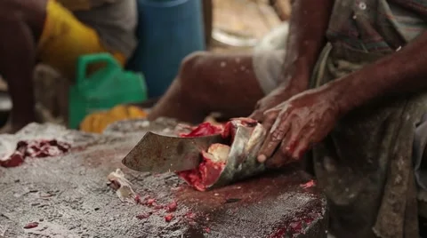 Cutting a fish in Sri Lanka Stock Footage 49365963