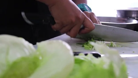 Cutting Food with Kitchen Knife Stock Footage 110718162