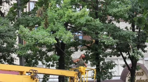 Cutting Stock Footage 912021