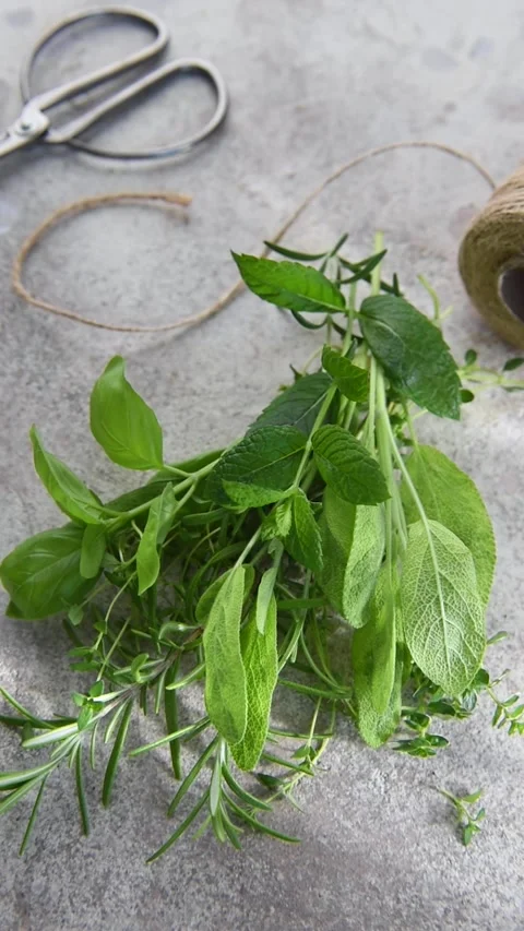 Cutting fresh aromatic herbs with scissors Vídeos de archivo 340193943
