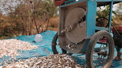 Cutting fresh cassava root into small chips. Agricultural process in cambodia Video stock 325211991