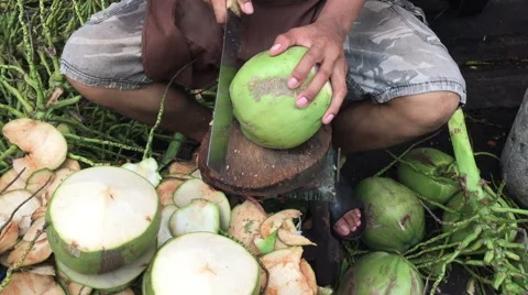 Cutting fresh coconut to get sweet coconut water inside for drinking Stock Footage 50156386
