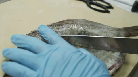 Cutting the fresh fish  Stock Footage 163317801