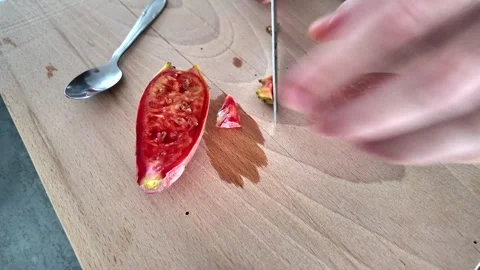 Cutting fresh prickly pear fruit in half Stock Footage 345081299
