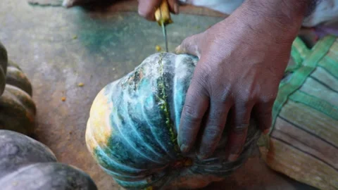 Cutting Fresh Pumpkin Stock-Footage 336429189